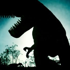 Meet your Posher, Ann